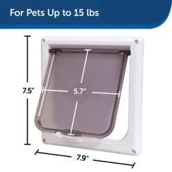 PetSafe 2-Way Locking Cat Door -Pet Cat Supplies Store 64002 PT5. AC SS1800 V1628117484