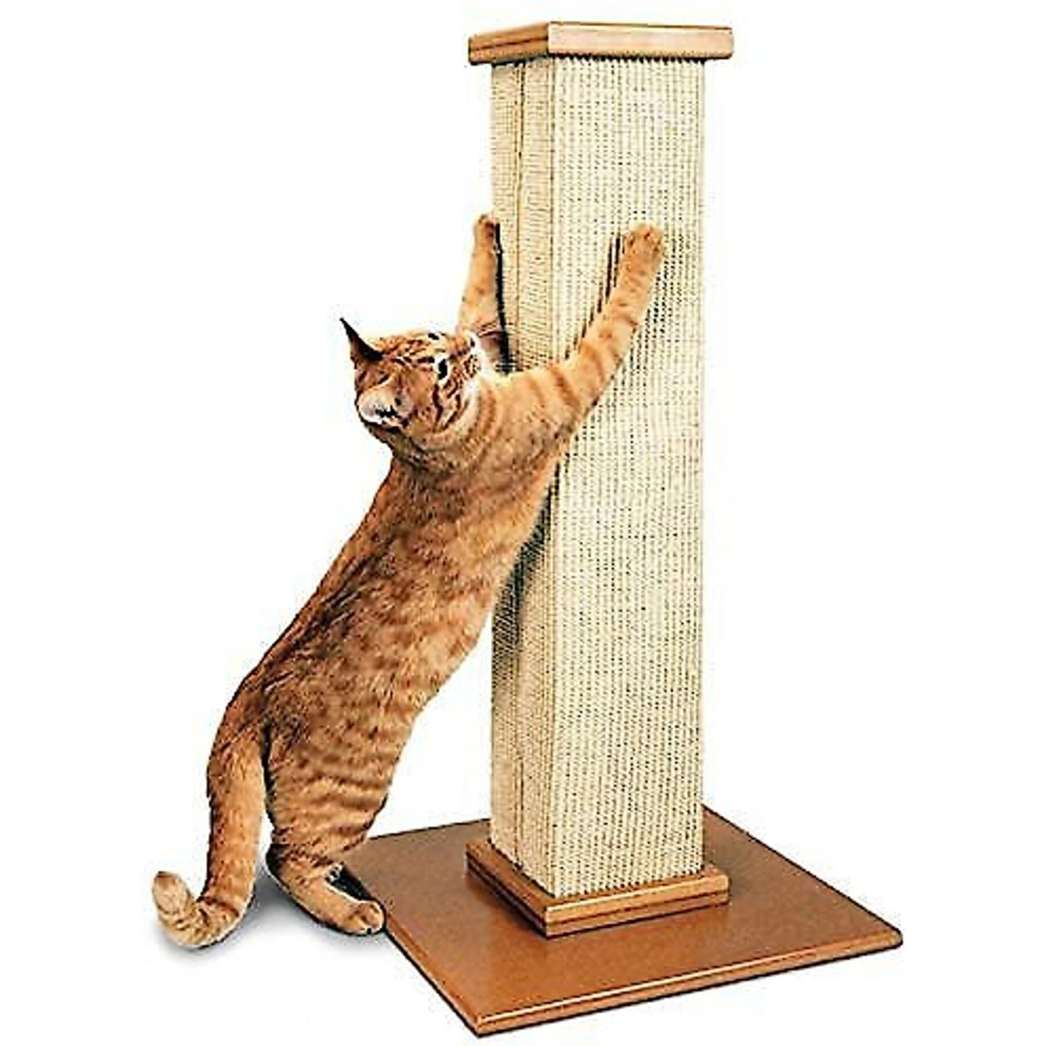 SmartCat The Ultimate 32-in Sisal Cat Scratching Post 3 SmartCat The Ultimate 32-in Sisal Cat Scratching Post - Image 3
