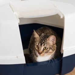 IRIS USA Hooded Corner Cat Litter Box With Front Door Flap -Pet Cat Supplies Store 645502 PT8. AC SS1800 V1685468316
