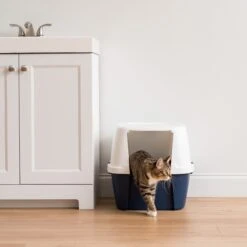 IRIS USA Jumbo Enclosed Hooded Cat Litter Box With Front Door Flap -Pet Cat Supplies Store 645518 PT1. AC SS1800 V1687785354
