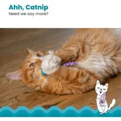 Catstages Mice Cat Chew Toy With Catnip -Pet Cat Supplies Store 64672 PT3. AC SS1800 V1636517204