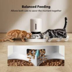 Petlibro Granary Automatic Two Cat & Dog Feeder With Camera -Pet Cat Supplies Store 661270 PT6. AC SS1800 V1665174479