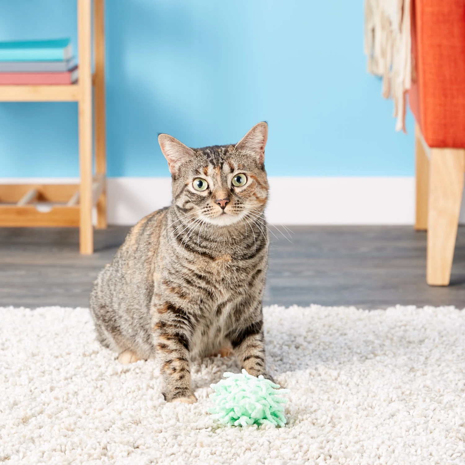 KONG Moppy Ball Cat Toy, Color Varies 6 KONG Moppy Ball Cat Toy, Color Varies - Image 6