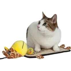 Pet Life Paw-Pleasant Eco-Natural Sisal & Jute Hanging Carpet Kitty Cat Scratcher & Toy -Pet Cat Supplies Store 667622 PT2. AC SS1800 V1665608535