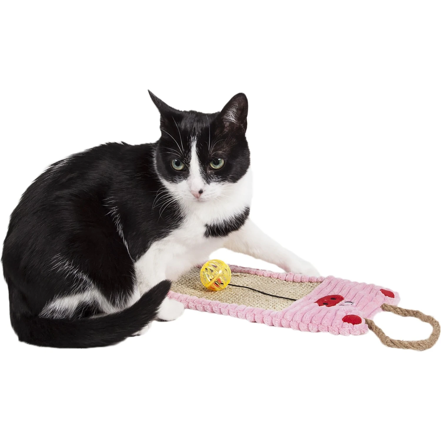 Pet Life Eco-Natural Sisal & Jute Hanging Carpet Kitty Cat Scratcher Lounge & Toy 1 Pet Life Eco-Natural Sisal & Jute Hanging Carpet Kitty Cat Scratcher Lounge & Toy