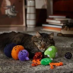 Frisco Halloween Mystical Variety Pack Plush & Balls Cat Toy With Catnip -Pet Cat Supplies Store 668374 PT3. AC SS1800 V1689282492