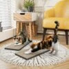 Way Basics Eco ZBoard Premium Cat Scratcher, 2 Count