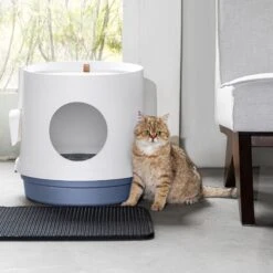 Hanamya Cat Litter Box With Scoop & Scratcher -Pet Cat Supplies Store 677142 PT8. AC SS1800 V1680728860