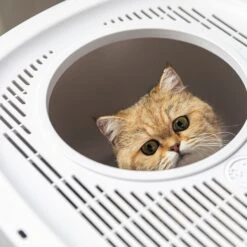 Hanamya Cat Front Entry Top Exit Cat Litter Box With Scoop, X-Large -Pet Cat Supplies Store 677158 PT5. AC SS1800 V1680728859