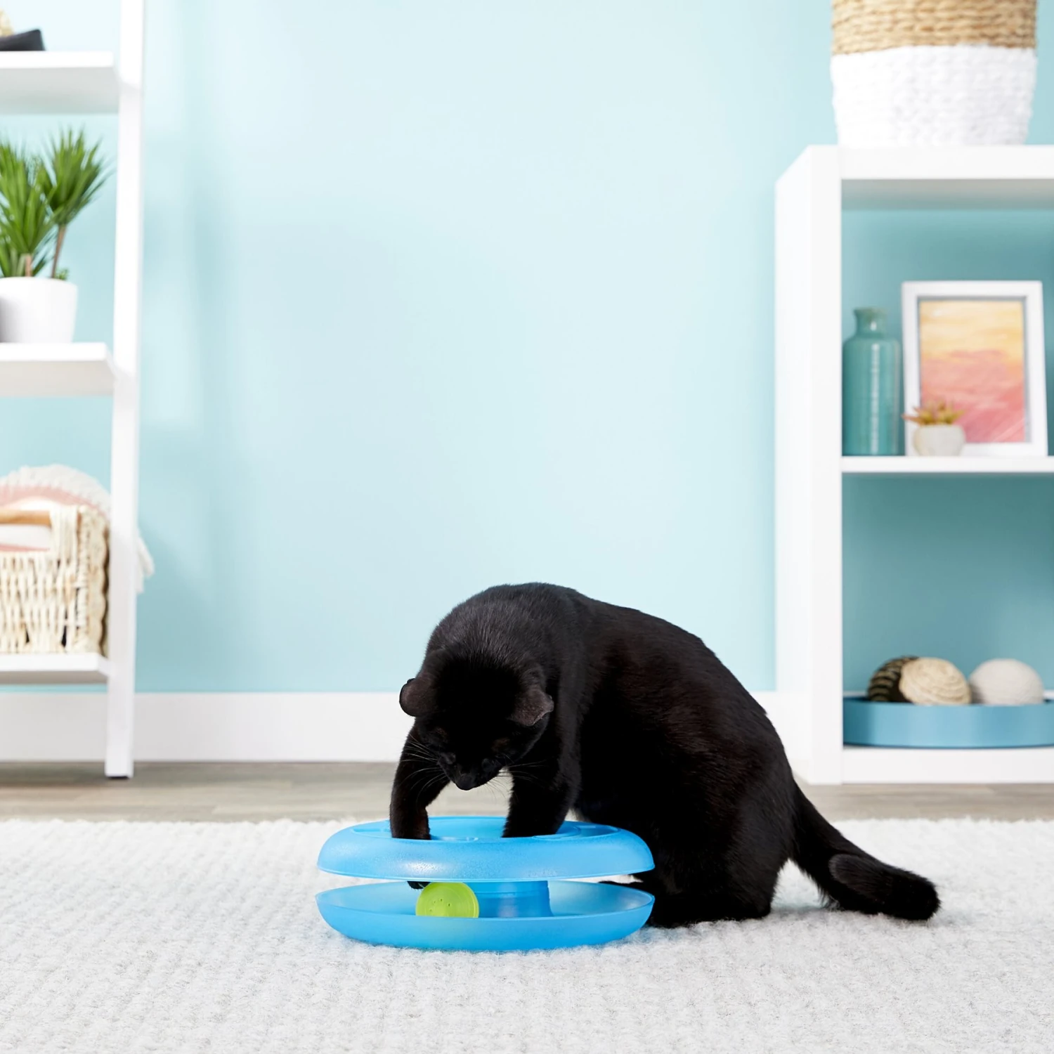 Fat Cat Crazy Circle Cat Toy 2 Fat Cat Crazy Circle Cat Toy - Image 2