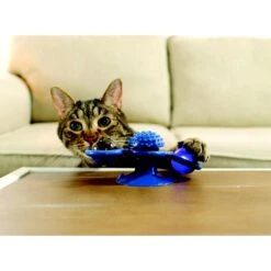 Pets Know Best Purrfect Spinner Cat Toy, Blue -Pet Cat Supplies Store 691606 PT2. AC SS1800 V1667519297