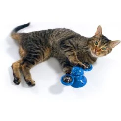 Pets Know Best Purrfect Spinner Cat Toy, Blue -Pet Cat Supplies Store 691606 PT4. AC SS1800 V1667518400