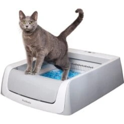 PetSafe ScoopFree Complete Disposable Crystal Litter Tray & PetSafe ScoopFree Complete Plus Self-Cleaning Litter Box 14 PetSafe ScoopFree Complete Disposable Crystal Litter Tray & PetSafe ScoopFree Complete Plus Self-Cleaning Litter Box -Pet Cat Supplies Store 694182 PT5. AC SS1800 V1668531393