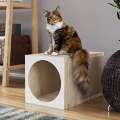 Way Basics Premium Tunnel Cat Scratcher, Medium -Pet Cat Supplies Store 697206 PT2. AC SS1800 V1667948244
