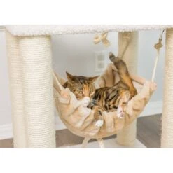 Armarkat 73-in Faux Fleece Cat Tree & Condo -Pet Cat Supplies Store 70208 PT4. AC SS1800 V1582739498
