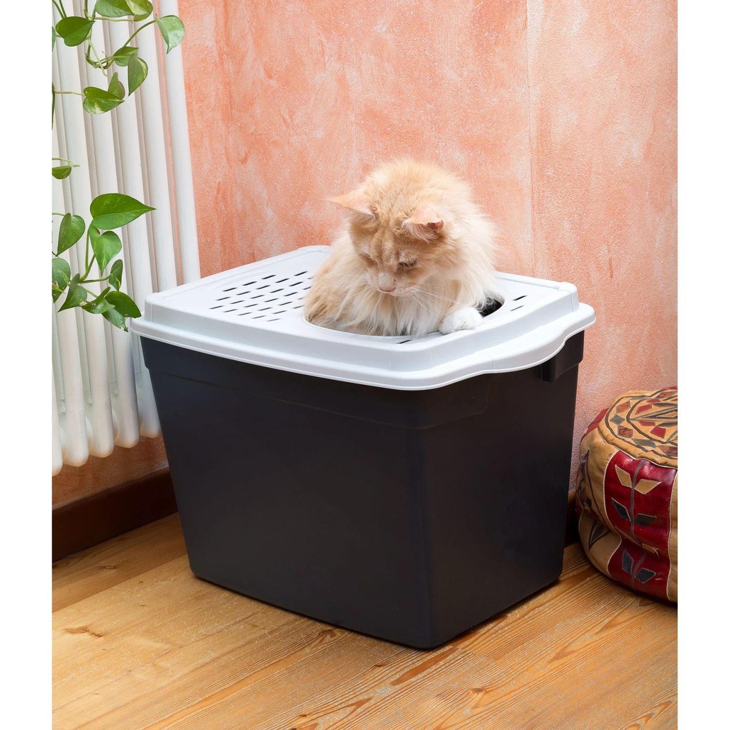 Ferplast "Jumpy" With Top Entrance Cat Litter Box, Black, Large 6 Ferplast "Jumpy" With Top Entrance Cat Litter Box, Black, Large - Image 6