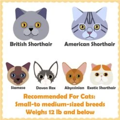 Yaheetech 69-in 4-Level Plush Cat Tree -Pet Cat Supplies Store 705134 PT2. AC SS1800 V1686153897