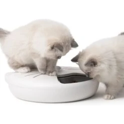 Catit Pixi Smart 6-Meal Cat Feeder -Pet Cat Supplies Store 706126 PT2. AC SS1800 V1668024577