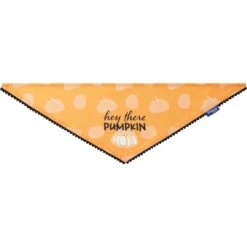 Frisco Hey There Pumpkin Dog & Cat Bandana -Pet Cat Supplies Store 706374 PT3. AC SS1800 V1689282446