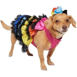 Frisco Ruffle Party Dog & Cat Dress + Headpiece 11 Frisco Ruffle Party Dog & Cat Dress + Headpiece -Pet Cat Supplies Store 707350 PT2. AC SS1800 V1689278779