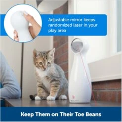 PetSafe Bolt Interactive Laser Cat Toy 12 PetSafe Bolt Interactive Laser Cat Toy -Pet Cat Supplies Store 70843 PT4. AC SS1800 V1676318575