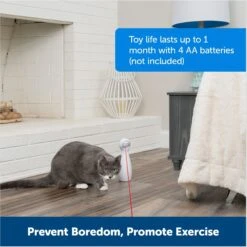 PetSafe Bolt Interactive Laser Cat Toy 13 PetSafe Bolt Interactive Laser Cat Toy -Pet Cat Supplies Store 70843 PT5. AC SS1800 V1676317808