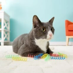 Ethical Pet Thin Colorful Springs Cat Toy -Pet Cat Supplies Store 71298 PT8. AC SS1800 V1506968409