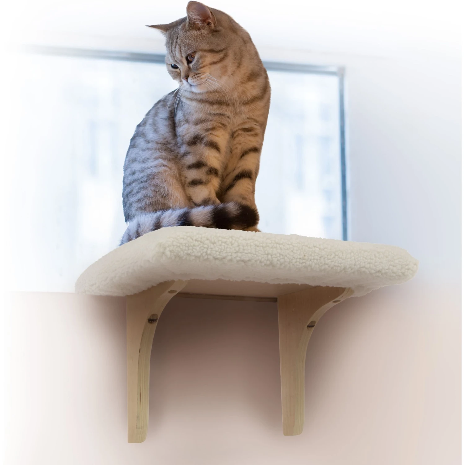 Petlinks SmartyKat Paw Perch Padded Indoor Cat Window Perch 4 Petlinks SmartyKat Paw Perch Padded Indoor Cat Window Perch - Image 4