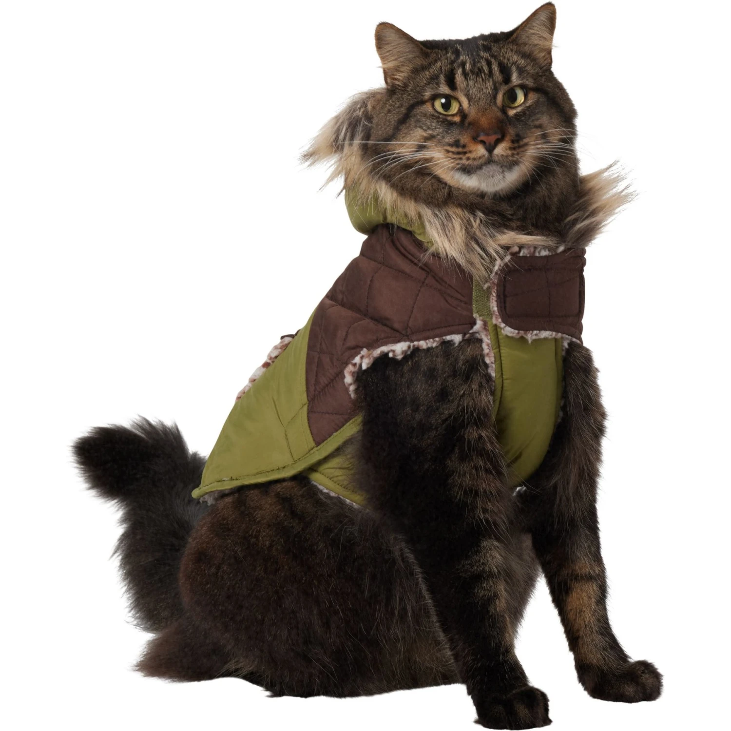 Frisco Heavy Weight 2-Tone Sherpa Lined Hybrid Quilted Dog & Cat Parka 1 Frisco Heavy Weight 2-Tone Sherpa Lined Hybrid Quilted Dog & Cat Parka