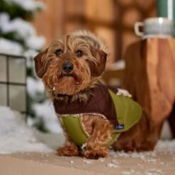 Frisco Heavy Weight 2-Tone Sherpa Lined Hybrid Quilted Dog & Cat Parka 16 Frisco Heavy Weight 2-Tone Sherpa Lined Hybrid Quilted Dog & Cat Parka -Pet Cat Supplies Store 718038 PT7. AC SS1800 V1692378337