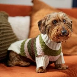Frisco Bubble Knit Multi Striped Mock Neck Dog & Cat Sweater -Pet Cat Supplies Store 718854 PT7. AC SS1800 V1692378688