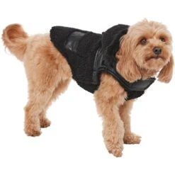 Frisco Medium Weight Faux Leather Dog & Cat Parka With Faux Fur Trimmed Hood, Black 10 Frisco Medium Weight Faux Leather Dog & Cat Parka With Faux Fur Trimmed Hood, Black -Pet Cat Supplies Store 719798 PT2. AC SS1800 V1703184628