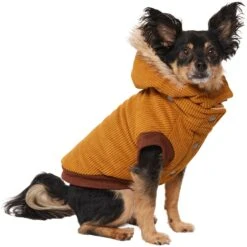 Frisco Heavy Weight Lux Corduroy Insulated Dog & Cat Coat With Fur Trimmed Hood 11 Frisco Heavy Weight Lux Corduroy Insulated Dog & Cat Coat With Fur Trimmed Hood -Pet Cat Supplies Store 719966 PT2. AC SS1800 V1703184628