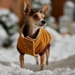 Frisco Heavy Weight Lux Corduroy Insulated Dog & Cat Coat With Fur Trimmed Hood 16 Frisco Heavy Weight Lux Corduroy Insulated Dog & Cat Coat With Fur Trimmed Hood -Pet Cat Supplies Store 719966 PT7. AC SS1800 V1692377819