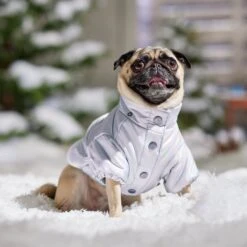 Frisco Heavy Weight Iridescent Quilted Dog & Cat Hooded Puffer Coat -Pet Cat Supplies Store 720038 PT7. AC SS1800 V1692377880