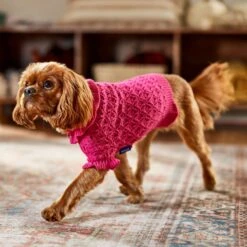 Frisco Ruffle Knit Pointelle Dog & Cat Turtleneck Sweater -Pet Cat Supplies Store 720646 PT7. AC SS1800 V1692379033