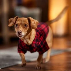 Frisco Red Tartan Plaid Dog & Cat Flannel Shirt 16 Frisco Red Tartan Plaid Dog & Cat Flannel Shirt -Pet Cat Supplies Store 720790 PT7. AC SS1800 V1693401090