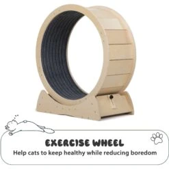 Coziwow Exercise Wheel With Lock & Teaser Cat Treadmill -Pet Cat Supplies Store 731054 PT3. AC SS1800 V1686337888
