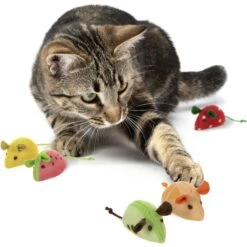SmartyKat Skitter Slices Plush Cat Toy With Catnip, 5 Count -Pet Cat Supplies Store 736894 PT3. AC SS1800 V1672842488