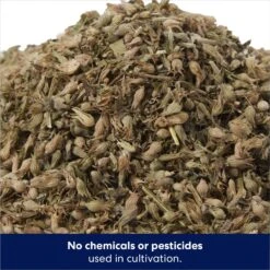 Frisco Natural Catnip & Hartz Cattraction Silver Vine & Catnip Gator Cat Scratcher Toy, Color Varies -Pet Cat Supplies Store 737470 PT3. AC SS1800 V1683212146