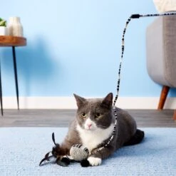 JW Pet Cataction Ball With Wand Cat Toy 9 JW Pet Cataction Ball With Wand Cat Toy -Pet Cat Supplies Store 73759 PT5. AC SS1800 V1525719222