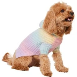 Frisco Soft Multi Stripe Ombre Dog & Cat Hooded Sweater -Pet Cat Supplies Store 742838 PT2. AC SS1800 V1703194379