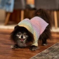 Frisco Soft Multi Stripe Ombre Dog & Cat Hooded Sweater -Pet Cat Supplies Store 742838 PT7. AC SS1800 V1692376365