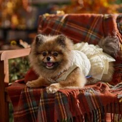 Frisco Medium Weight Quilted Ruffle Tiered Dog & Cat Dress 16 Frisco Medium Weight Quilted Ruffle Tiered Dog & Cat Dress -Pet Cat Supplies Store 744262 PT7. AC SS1800 V1693401666