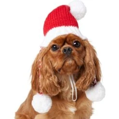 Frisco Chunky Knit Santa Dog & Cat Hat 9 Frisco Chunky Knit Santa Dog & Cat Hat -Pet Cat Supplies Store 744878 PT2. AC SS1800 V1694812755