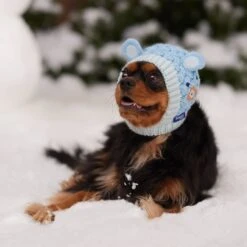 Frisco Nordic Ears Sweater Knit Dog & Cat Hat -Pet Cat Supplies Store 745710 PT5. AC SS1800 V1695671059