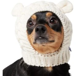 Frisco Polar Bear Sweater Knit Dog & Cat Hat -Pet Cat Supplies Store 745742 PT2. AC SS1800 V1694793756