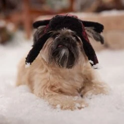 Frisco Tartan Plaid Dog & Cat Trapper Hat -Pet Cat Supplies Store 746750 PT5. AC SS1800 V1694800749