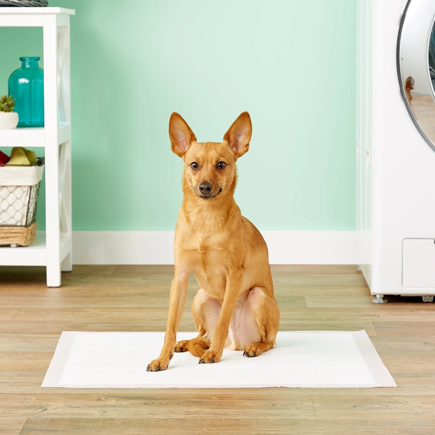 MidWest Dry Paws Training & Floor Protection Pads 2 MidWest Dry Paws Training & Floor Protection Pads - Image 2