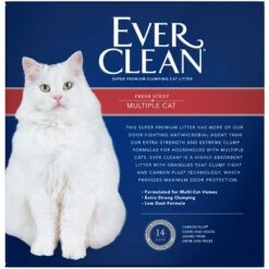 Ever Clean Multi-Cat Fresh Scented Clumping Clay Cat Litter 11 Ever Clean Multi-Cat Fresh Scented Clumping Clay Cat Litter -Pet Cat Supplies Store 75543 PT4. AC SS1800 V1556635066